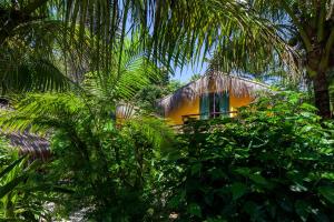 a yellow house in the middle of a jungle at Canoa Nativa Pousada Boipeba in Ilha de Boipeba
