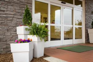 a front porch with two large white planters with flowers at Holiday Inn Hotel & Suites Bloomington Airport, an IHG Hotel in Bloomington