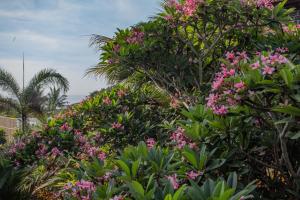 um ramo de flores cor-de-rosa numa árvore em Balian Surf Villas em Selemadeg