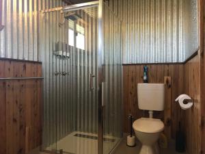 baño con ducha, aseo y puerta de cristal en Riverside Farm Retreat, en Eulah