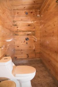 a bathroom with a toilet and a wooden wall at Magic World in Palolem
