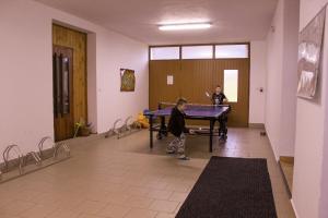 2 niños jugando al ping pong en una sala con mesa de ping pong en Penzion Na Devitce, en Světnov