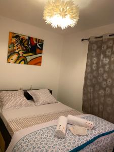 1 Schlafzimmer mit 2 Betten und einem Kronleuchter in der Unterkunft Au Bonheur des vacances, Calme & Détente, Chez Hôtes in La Possession