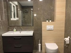ein Badezimmer mit Waschbecken, Toilette und Spiegel in der Unterkunft GREEN APARTMENT BY ALEX RAFAEL in Zagreb