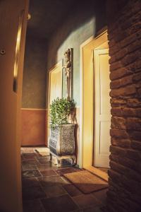 a hallway with a plant sitting next to a door at Apartmány č.p. 9 in Kouřim