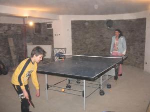 Hosté ubytování Cabana Tomita