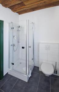 DER SCHWAN Hotel & Restaurant في Schwanstetten: حمام مع دش زجاجي ومرحاض