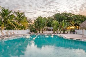 a swimming pool with chairs and palm trees at Holiday Inn Express Cape Coral-Fort Myers Area, an IHG Hotel in Cape Coral