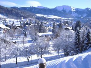 a village covered in snow with trees and mountains at Chalet Saneberg am Hochgrat in Oberstaufen