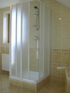 a shower with a glass door in a bathroom at Pension Minor in České Budějovice