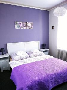 Postel nebo postele na pokoji v ubytování Apartmány Agáta Abertamy