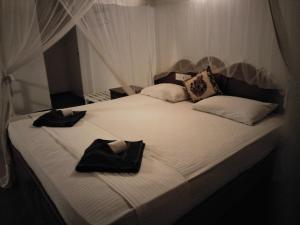 Ліжко або ліжка в номері Hikkaduwa Blue Ocean
