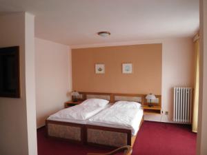 En eller flere senger på et rom på Resort Hotel Zvíkov