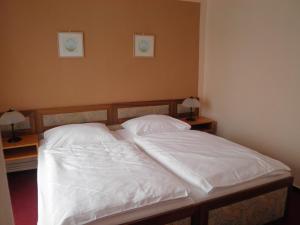 En eller flere senger på et rom på Resort Hotel Zvíkov