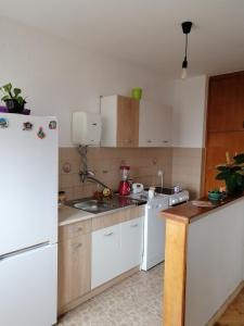 Кухня або міні-кухня у Apartman KIKA