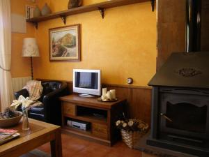 sala de estar con TV y chimenea en Chalet Rural El Encanto, en Ojedo