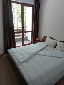 a bedroom with a large bed with a window at Private Apartments Nevena in Pamporovo