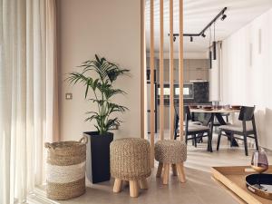 a living room with a potted plant and chairs at Aguacate Ioni in Tsilivi