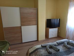 una camera da letto con un grande specchio, un letto e una TV di Centrum 2 apartman a Szolnok