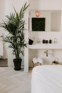 a bedroom with a potted plant and a sink at Brass in Utrecht