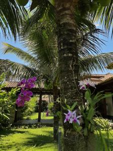a palm tree with flowers in front of a house at Casa Pomar do Aconchego in Paraty