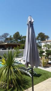 a gray umbrella sitting next to a palm tree at jardin zen in La Londe-les-Maures