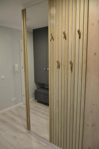 Gallery image of "11" SŁOŃCE WODA LAS - Apartament No11 Garaż w cenie in Kielce