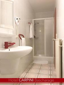 a bathroom with a white sink and a shower at Hotel Carpini in Bascharage