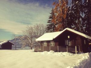 een hut met sneeuw op het dak in een tuin bij Berghütte Franz'l in Aich