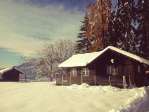 Berghütte Franz'l v zime