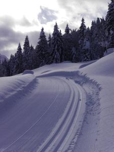 Oberauhof Chalet v zime