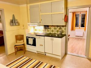 Η κουζίνα ή μικρή κουζίνα στο Salmon Lodge Lofoten