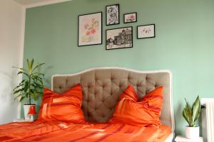 una camera da letto con un letto con cuscini arancioni e una parete verde di Apartment / Flat / Wohnung im Herzen von Dresden a Dresda