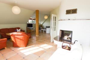 ein Wohnzimmer mit Couch und Kamin in der Unterkunft Ferienhaus Iris in Zempin