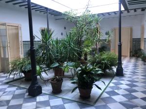 Vonkajšia záhrada v ubytovaní Twins' Home Chancillería, Jerez Centro, Cádiz, wifi