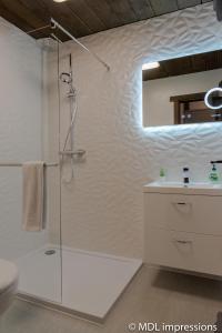 La salle de bains est pourvue d'une douche et d'un lavabo. dans l'établissement Apartment SHEPS in Kaprun, à Kaprun