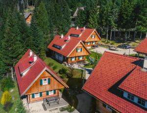 an overhead view of a group of houses with red roofs at Alpine Cabin in Klippitztorl