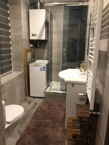 Kúpeľňa v ubytovaní BiBi Apartament
