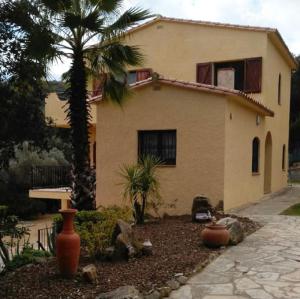 een huis met een palmboom ervoor bij Villa for eight guests in San Ciprián dels Alls