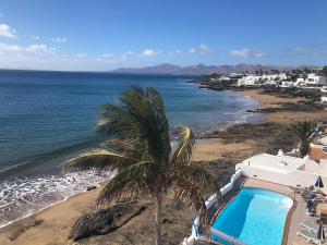 palma przy plaży z basenem w obiekcie Villa Caleton w Puerto del Carmen