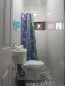 a bathroom with a toilet and a shower curtain at Private Executive Apartments in Accra +18 photos
