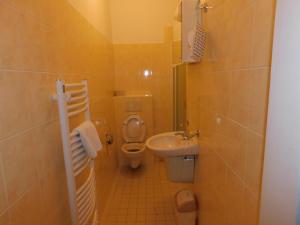 La petite salle de bains est pourvue de toilettes et d'un lavabo. dans l'établissement Vila Arnau, à Hostinné