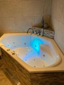a bath tub with a blue liquid in it at Hotel De Vrouwe van Stavoren in Stavoren