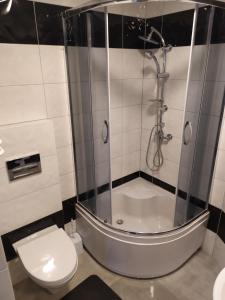 La salle de bains est pourvue d'une douche et de toilettes. dans l'établissement Apartamenty Parkowa, à Koszalin