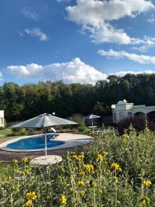 una piscina con sombrilla y un campo de flores en Villa Camila en Villa Giardino