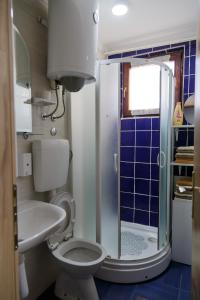 a small bathroom with a toilet and a shower at Apartman's Ana Pale-OC Jahorina in Pale