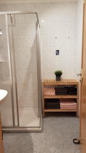 Phòng tắm tại Apartment Köhlbichler