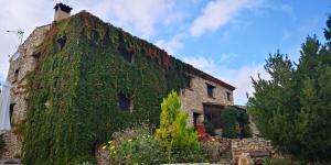 an old building covered in ivy at Mas de l'Arlequi in Rojals