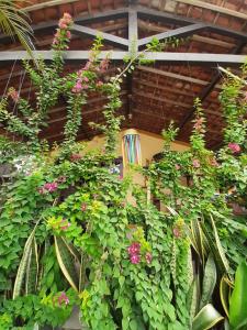 Gallery image of Pousada Casa da Gente in Caruaru