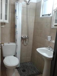 y baño con ducha, aseo y lavamanos. en Ubicadisimo dto. Loft con terraza privada en Mendoza